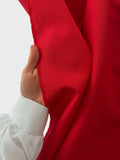 Duck Fabric Series - Red
